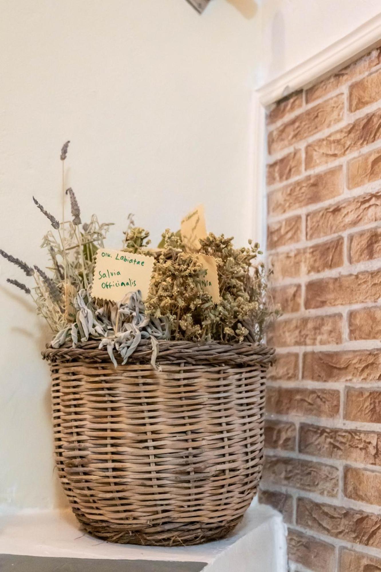 Ferienhaus Golden Nest